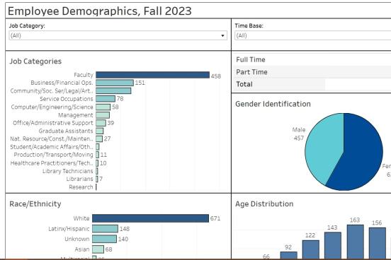 A screenshot of the Employees Demographics dashboard