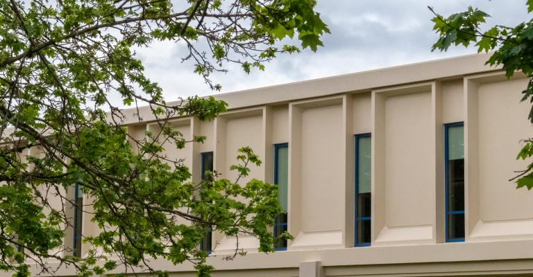 Exterior photo of Salazar Hall with green trees in the foreground